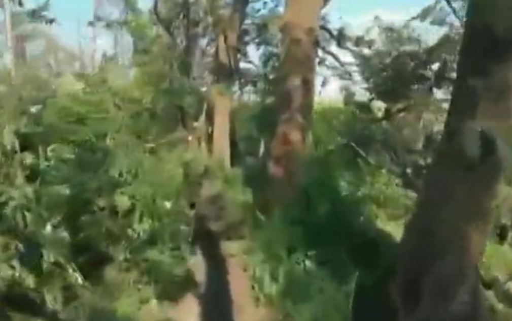 Очима камере (Фото: Скриншот) Очима камере (Фото: Скриншот)