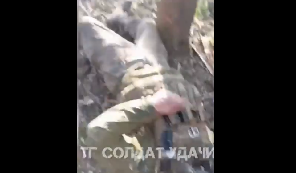 Туга и језа (Фото: Скриншот) Туга и језа (Фото: Скриншот)