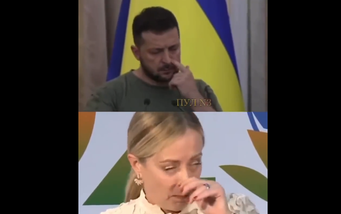 Олош белосветски (Фото: Скриншот) Олош белосветски (Фото: Скриншот)