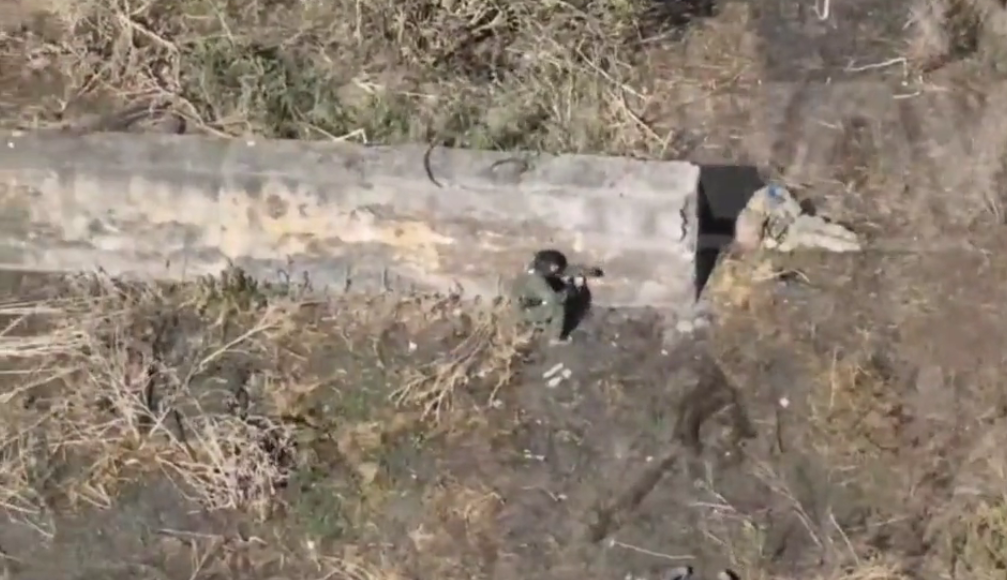 Тихо... (Фото: Скриншот) Тихо... (Фото: Скриншот)