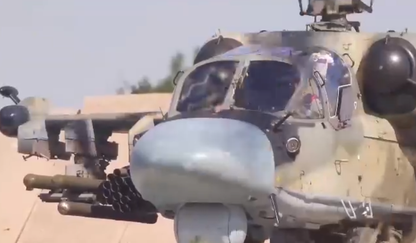 Алигатор Алигатор